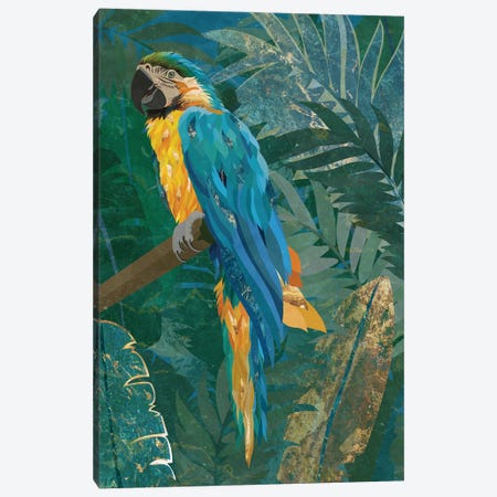 Macaw Parrot In The Jungle Canvas Print #MVS82} by Sarah Manovski Canvas Wall Art