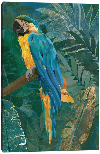 Macaw Parrot In The Jungle Canvas Art Print - Macaw Art