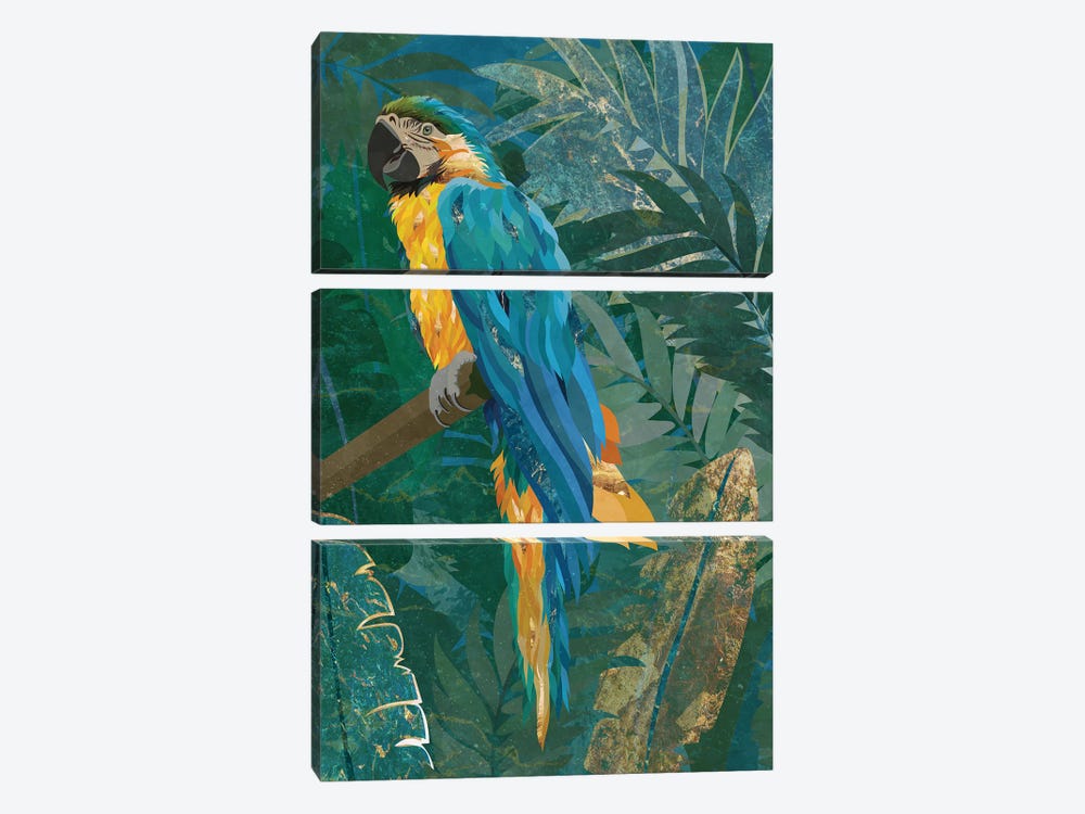 Macaw Parrot In The Jungle by Sarah Manovski 3-piece Canvas Art