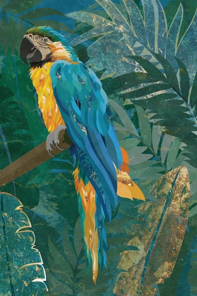 Sarah Manovski: Macaw Parrot In The Jungle by Sarah Manovski