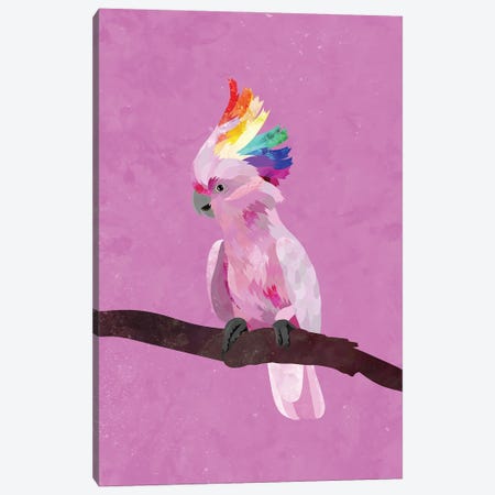 Rainbow Pink Cockatoo Canvas Print #MVS84} by Sarah Manovski Canvas Print