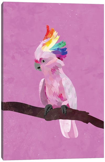 Rainbow Pink Cockatoo Canvas Art Print - Sarah Manovski