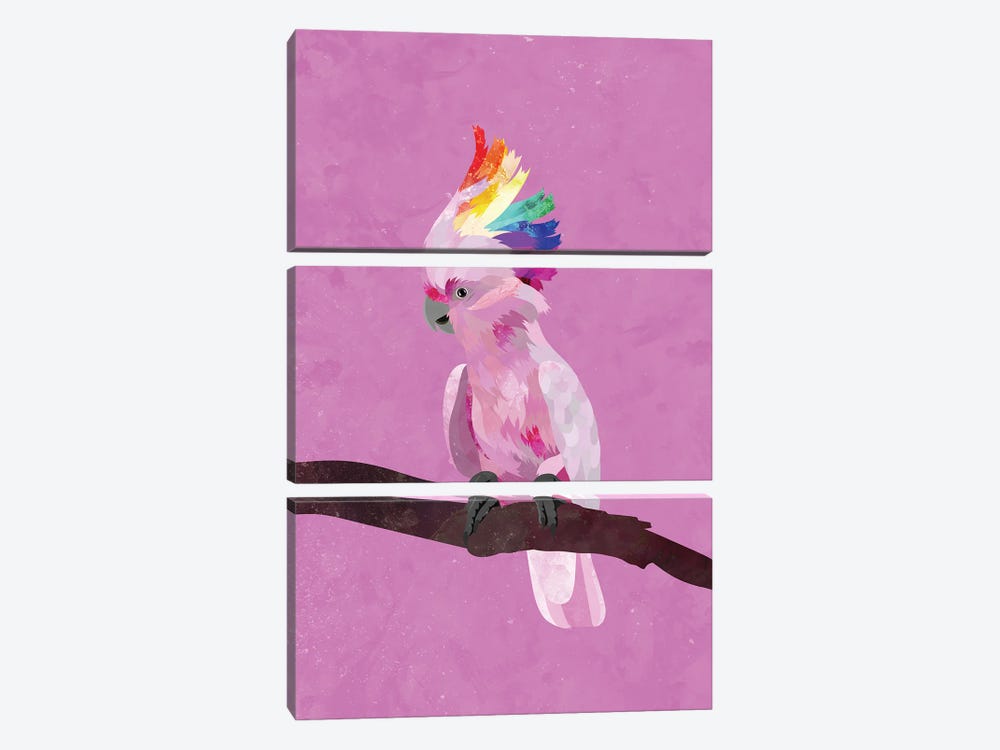 Rainbow Pink Cockatoo by Sarah Manovski 3-piece Canvas Art