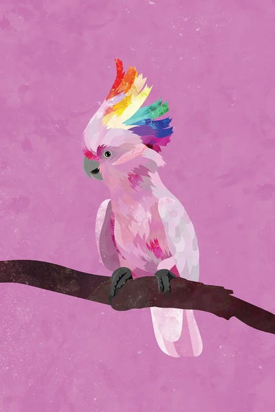 LGBTQ: Rainbow Pink Cockatoo by Sarah Manovski