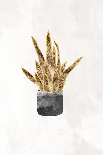 Sarah Manovski: Gold Snake Plant by Sarah Manovski