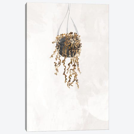 Gold String Of Pearls Plant Canvas Print #MVS97} by Sarah Manovski Canvas Art
