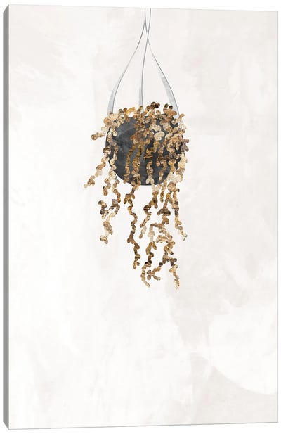 Gold String Of Pearls Plant Canvas Art Print - Sarah Manovski