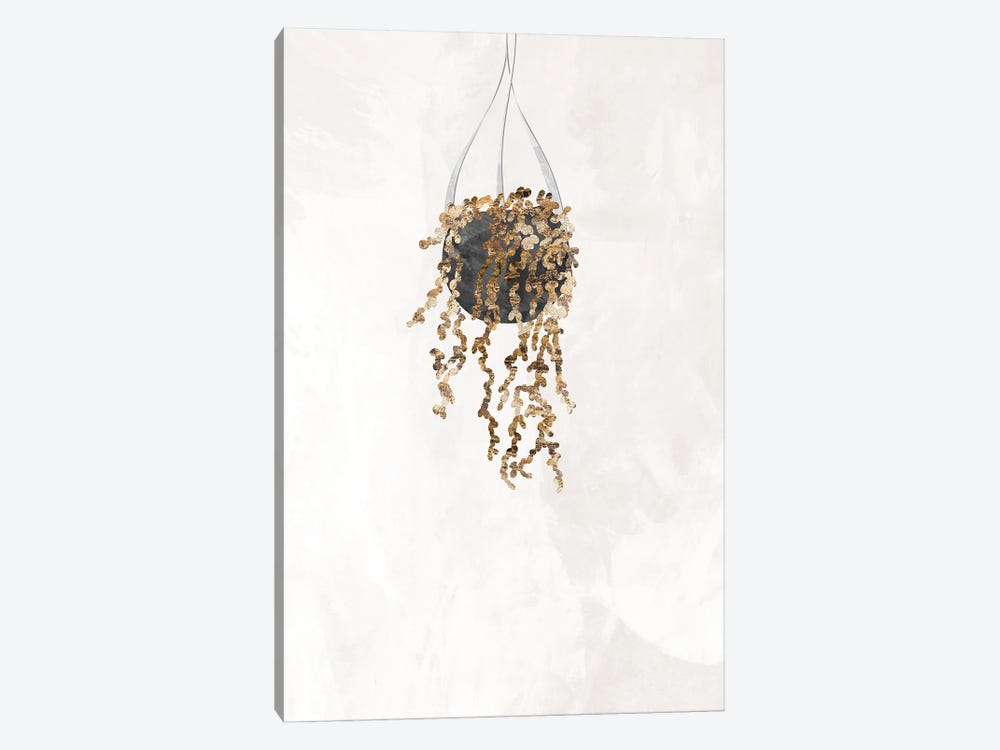 Gold String Of Pearls Plant by Sarah Manovski 1-piece Canvas Wall Art