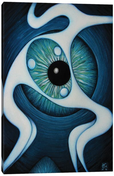 The Mirror Of Soul Canvas Art Print - Eyes