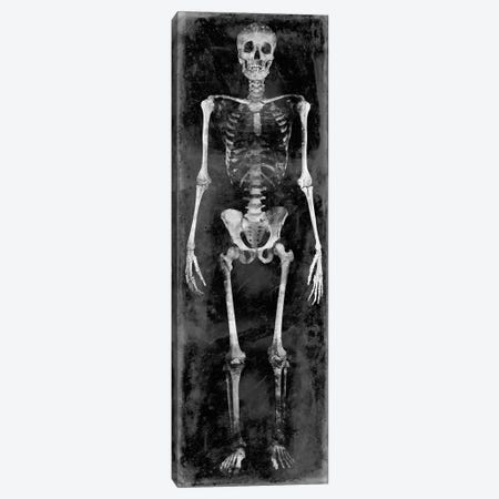 Skeleton II Canvas Print #MWA10} by Martin Wagner Canvas Art