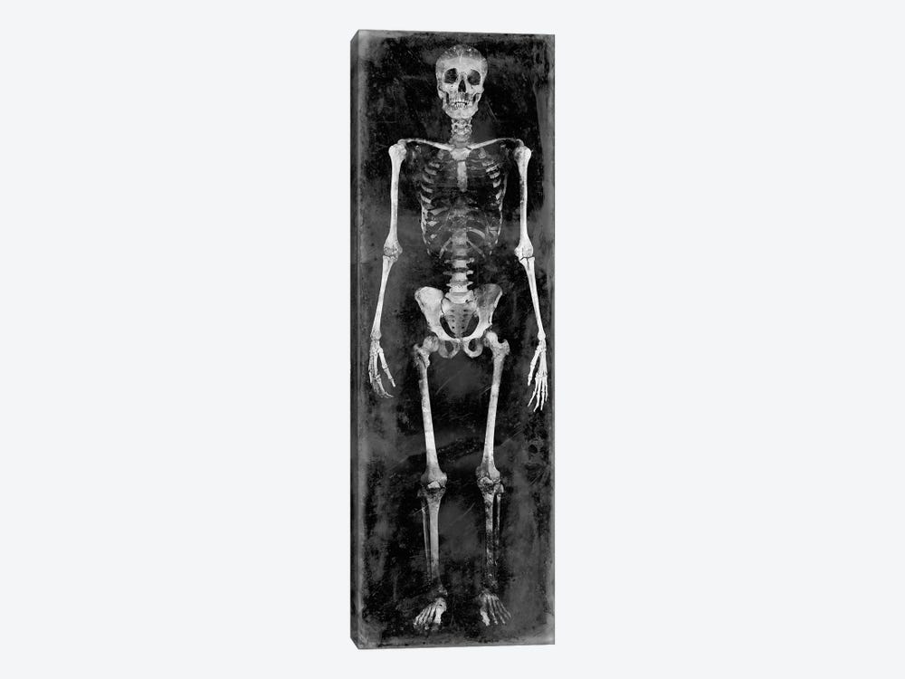Skeleton II by Martin Wagner 1-piece Canvas Print