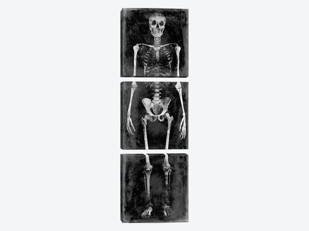 Skeleton II 3-piece Art Print