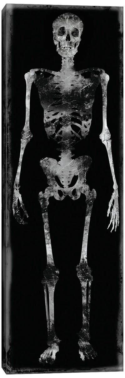Skeleton III Canvas Art Print