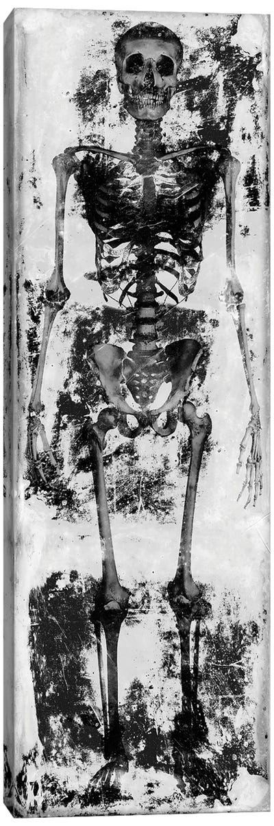 Skeleton IV Canvas Art Print - Skeleton Art