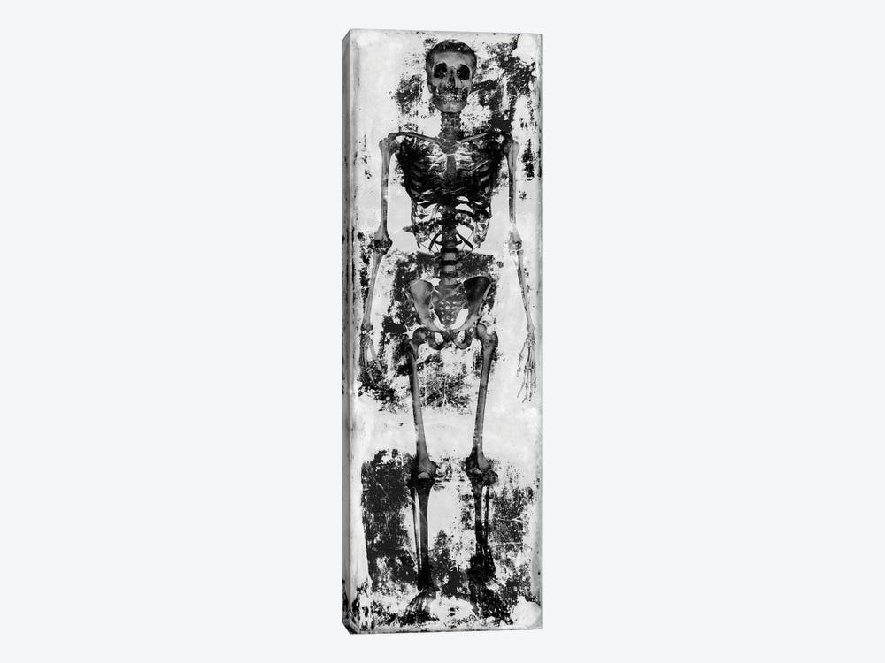 Skeleton IV 1-piece Canvas Art Print