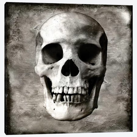 Skull I Canvas Print #MWA13} by Martin Wagner Canvas Wall Art