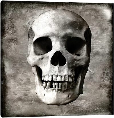 Skull I Canvas Art Print - Skull Art