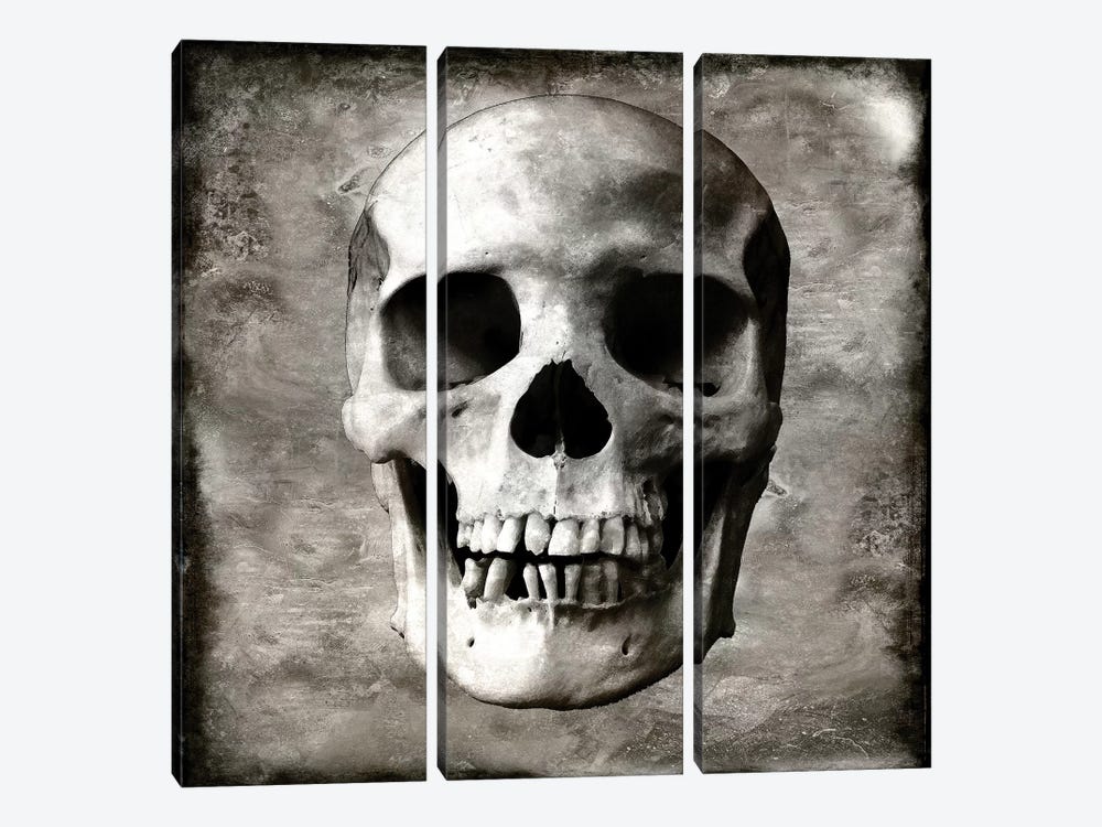 Skull I by Martin Wagner 3-piece Canvas Artwork