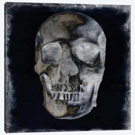 Skull II Canvas Print #MWA14} by Martin Wagner Canvas Print