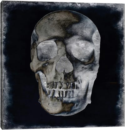 Skull II Canvas Art Print