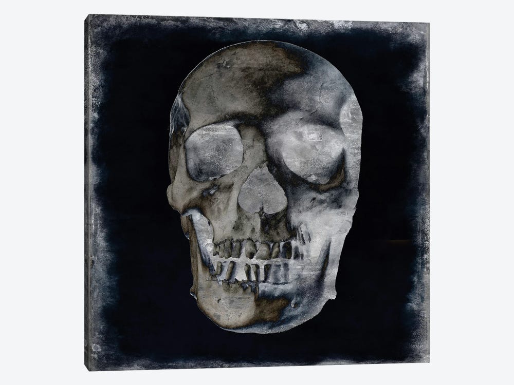 Skull II by Martin Wagner 1-piece Canvas Print