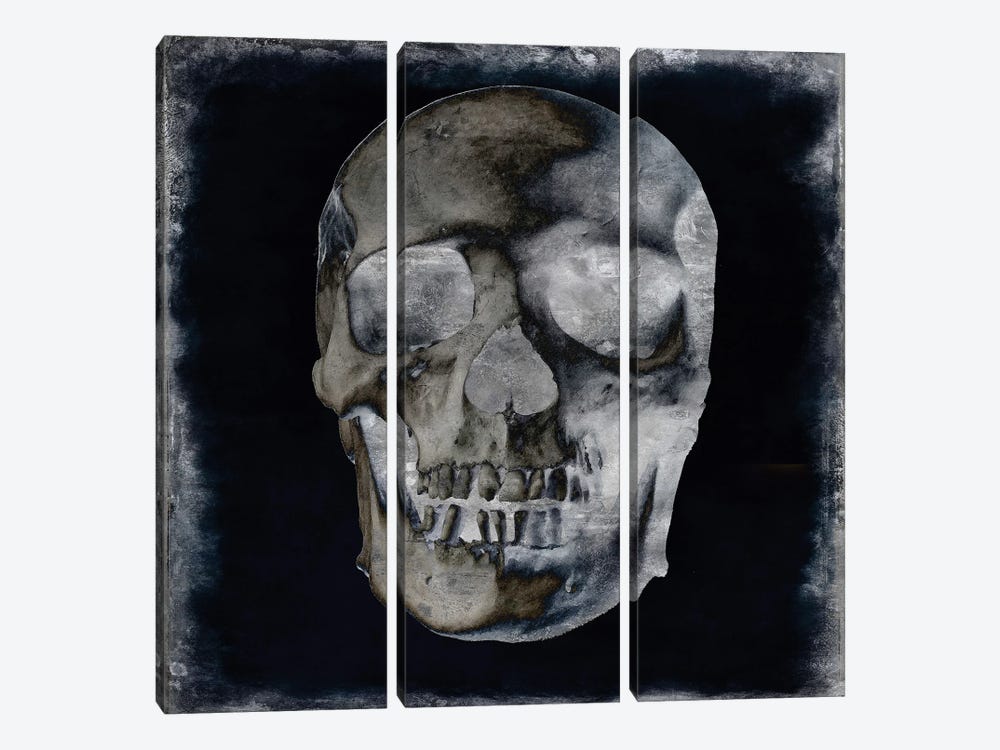Skull II 3-piece Art Print