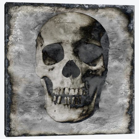 Skull III Canvas Print #MWA15} by Martin Wagner Art Print
