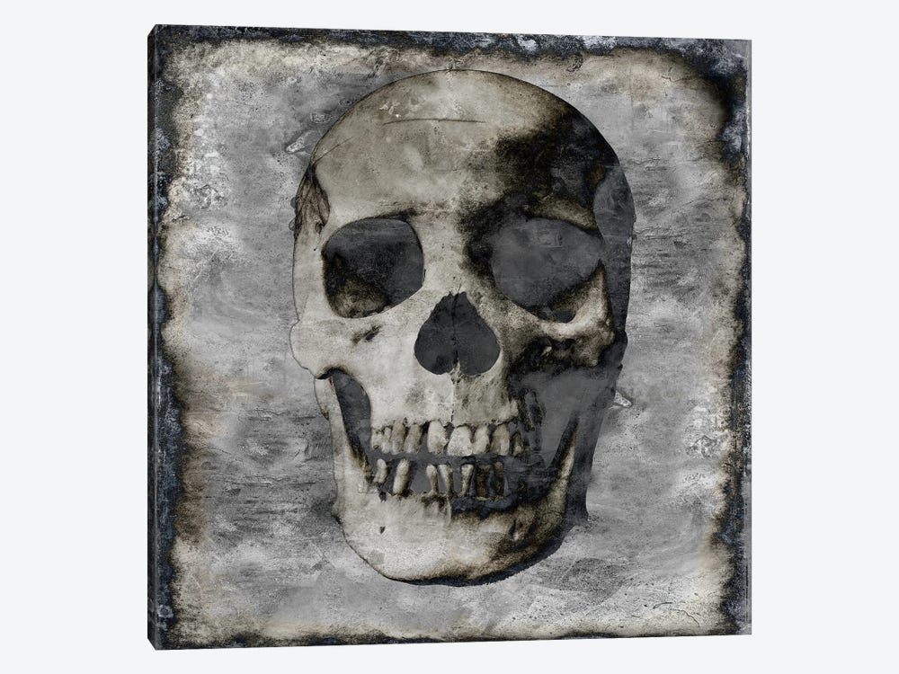 Skull III by Martin Wagner 1-piece Canvas Wall Art