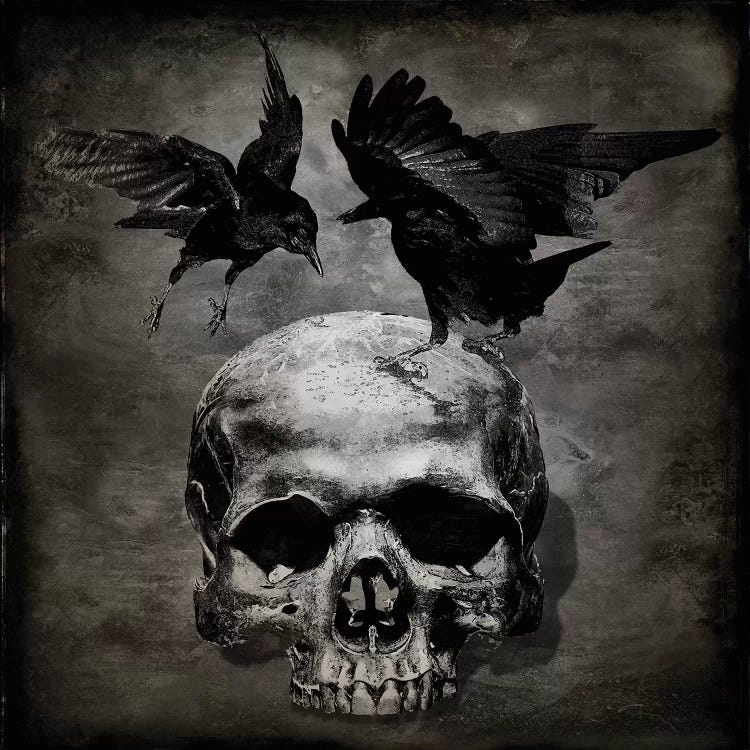 Skull With Crows