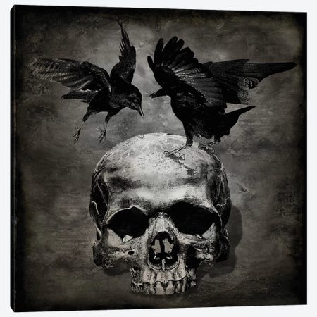 Skull With Crows Canvas Print #MWA16} by Martin Wagner Canvas Print