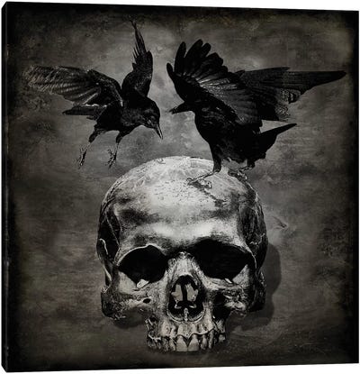 Skull With Crows Canvas Art Print - Horror Art