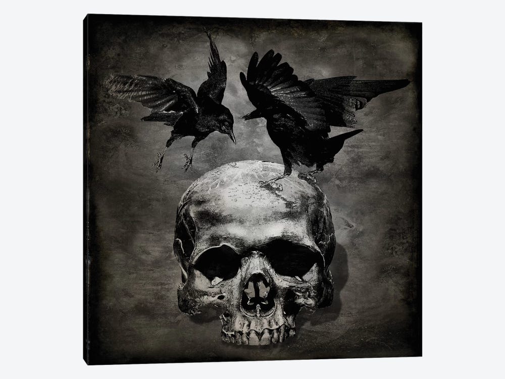 Skull With Crows by Martin Wagner 1-piece Canvas Art Print