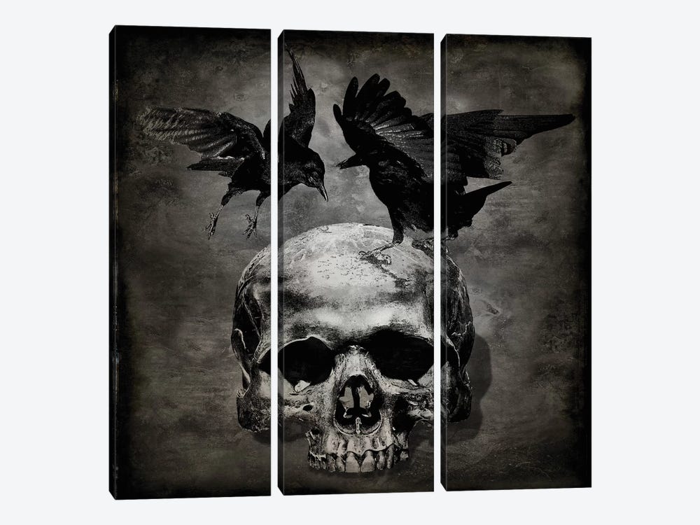 Skull With Crows by Martin Wagner 3-piece Canvas Art Print