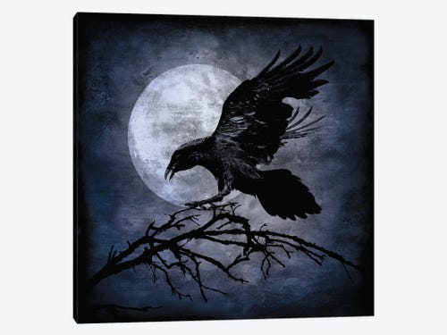 crows art