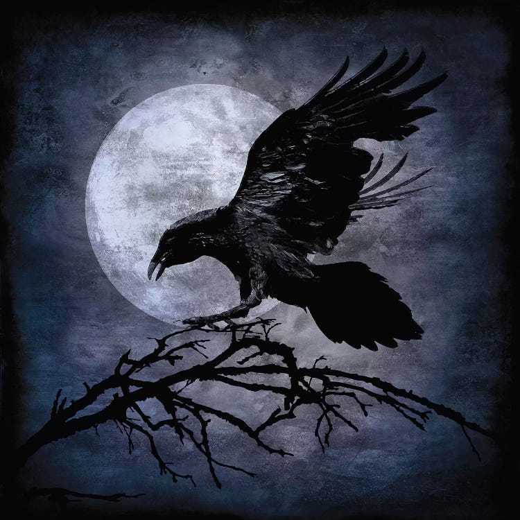 Crow by Martin Wagner wall art