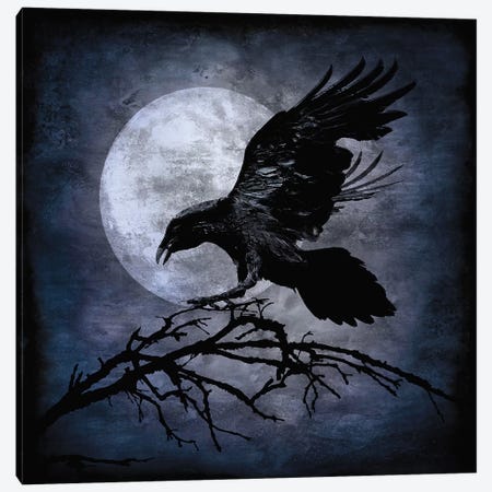 Crow Canvas Print #MWA1} by Martin Wagner Canvas Artwork