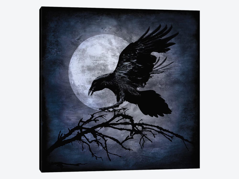 Crow by Martin Wagner 1-piece Canvas Artwork