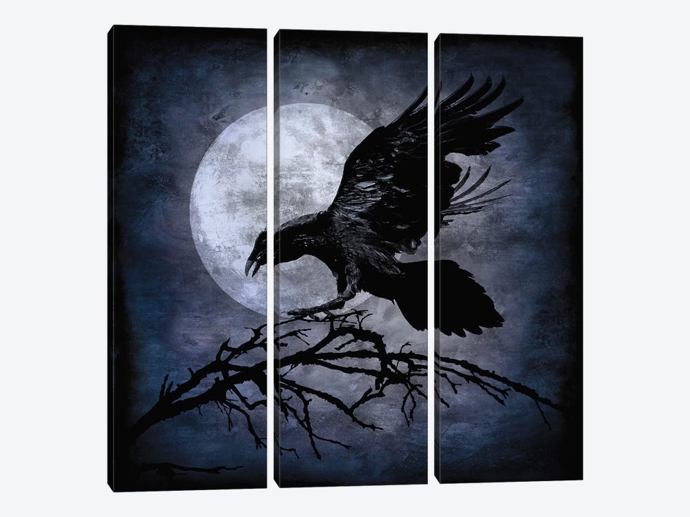 Crow by Martin Wagner 3-piece Canvas Wall Art