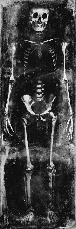 Skeleton I