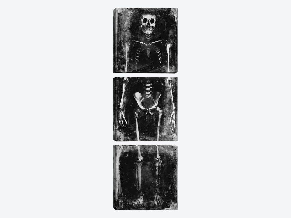 Skeleton I by Martin Wagner 3-piece Canvas Artwork