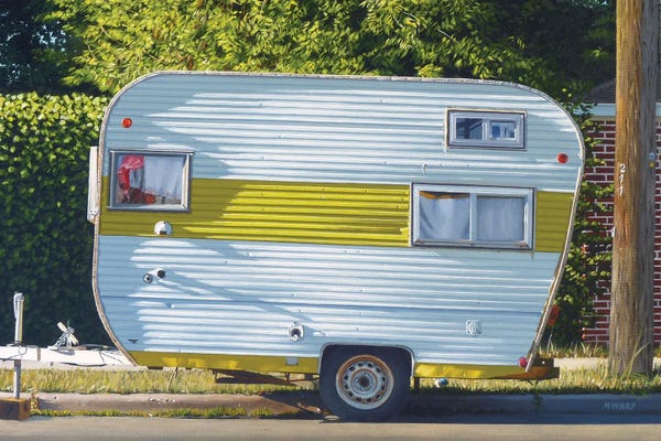 Michael Ward: Field And Stream by Michael Ward