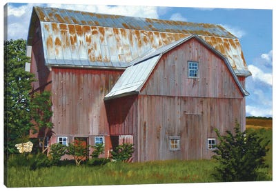 Michigan Barn VI Canvas Art Print - Michael Ward