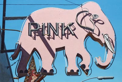 Pink Elephant by Michael Ward canvas print