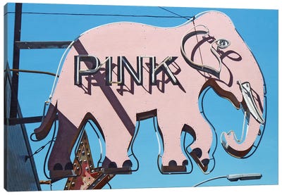Pink Elephant Canvas Art Print - Michael Ward