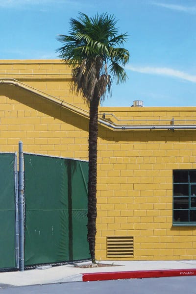 Artful Architecture: Trachycarpus Fortunei by Michael Ward