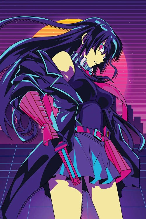 Akame Ga Kill Anime - 80s Retro Style