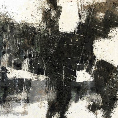 Abstract Black and White by Marta Wiley canvas print