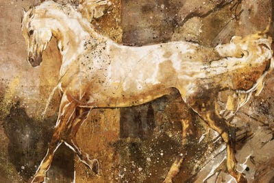 Fibonacci White by Marta Wiley canvas print