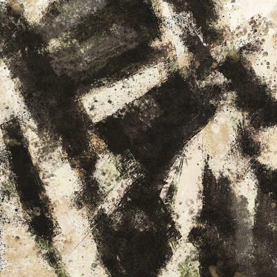 Abstract II by Marta Wiley canvas print