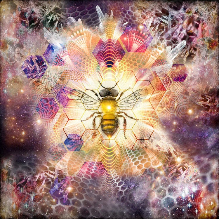 Cosmic Honeybee